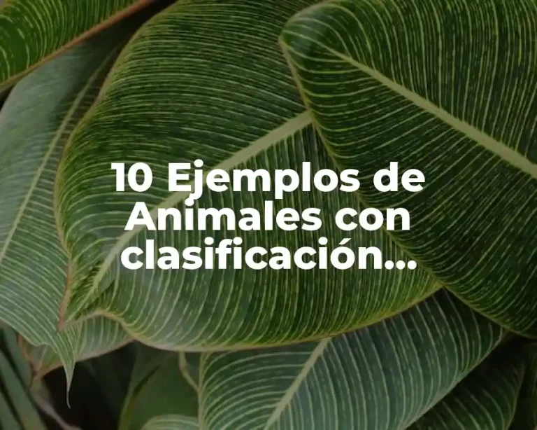 10 Ejemplos de Animales con clasificación taxonómica en BC