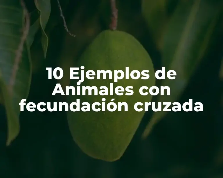 10 Ejemplos de Animales con fecundación cruzada