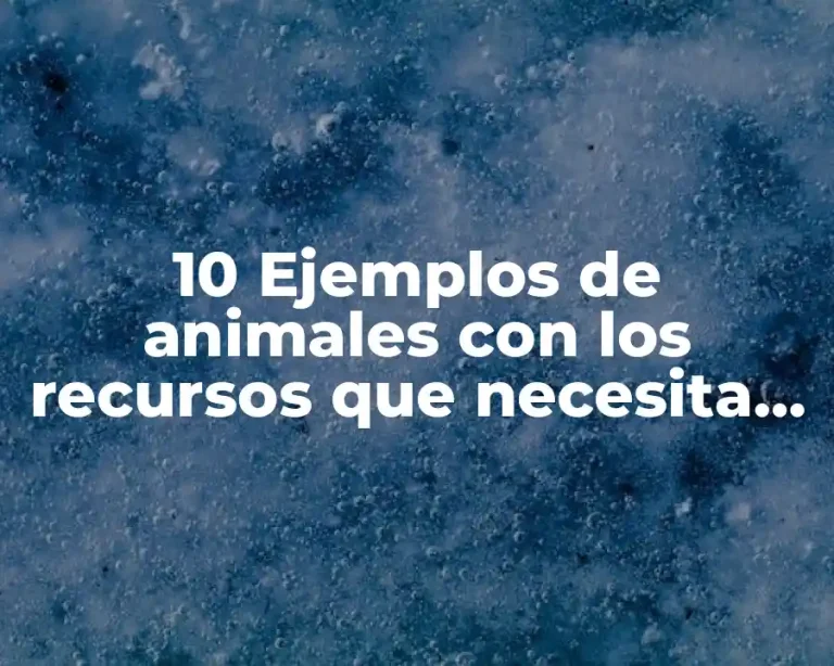 10 Ejemplos de animales con los recursos que necesita para vivir