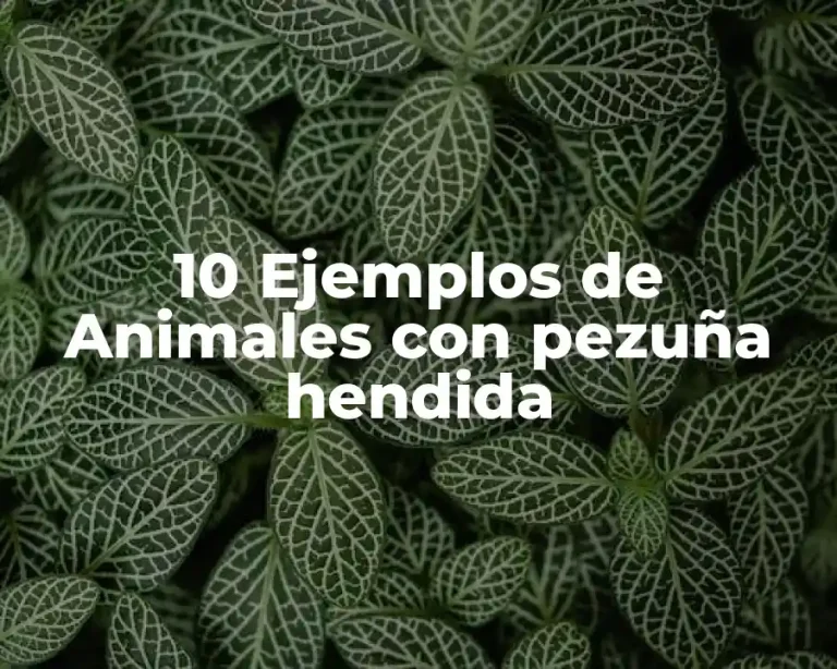 10 Ejemplos de Animales con pezuña hendida