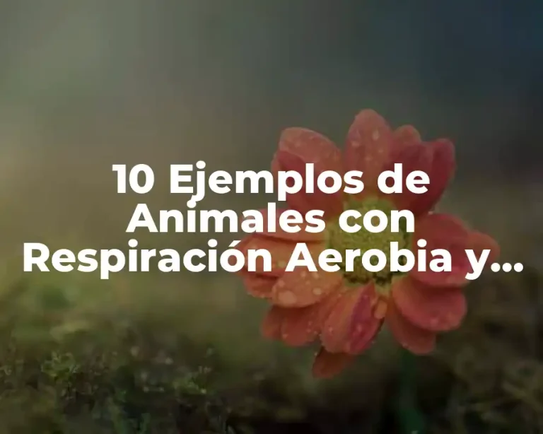 10 Ejemplos de Animales con Respiración Aerobia y Anaerobia