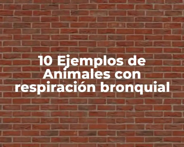 10 Ejemplos de Animales con respiración bronquial