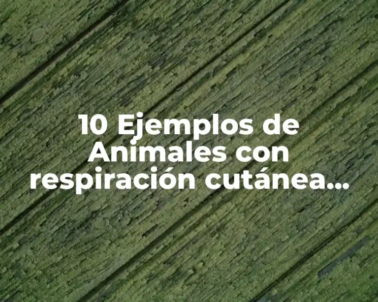 10 Ejemplos de Animales con respiración cutánea, traqueal, branquial y pulmonar