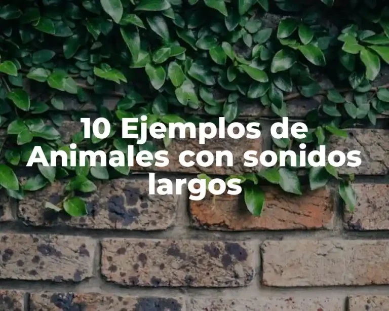 10 Ejemplos de Animales con sonidos largos