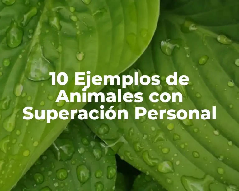 10 Ejemplos de Animales con Superación Personal