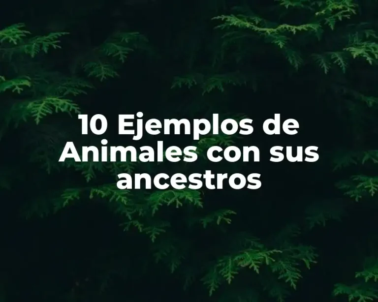 10 Ejemplos de Animales con sus ancestros