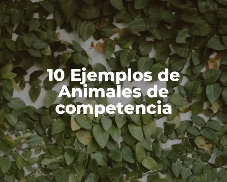 10 Ejemplos de Animales de competencia