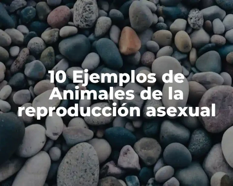 10 Ejemplos de Animales de la reproducción asexual