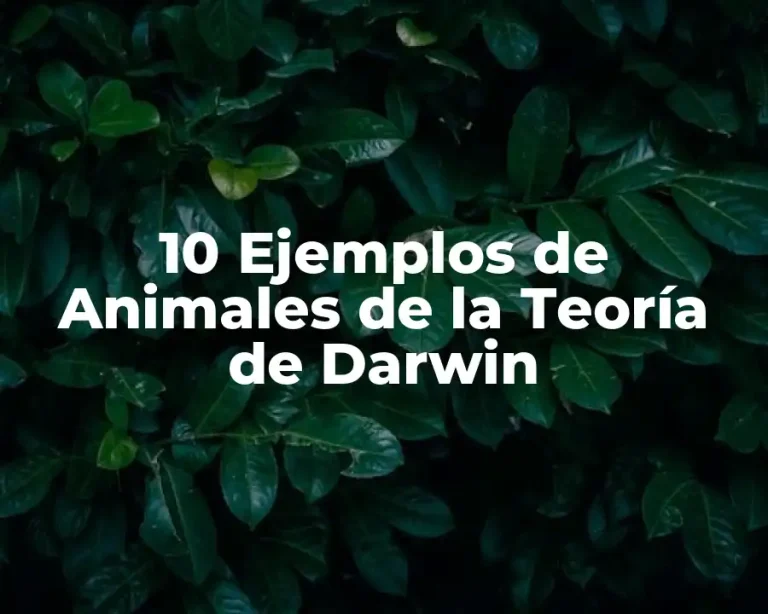 10 Ejemplos de Animales de la Teoría de Darwin