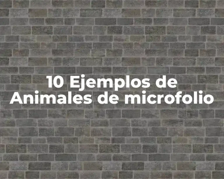 10 Ejemplos de Animales de microfolio