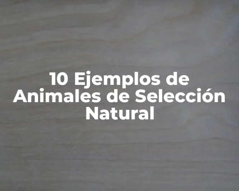 10 Ejemplos de Animales de Selección Natural