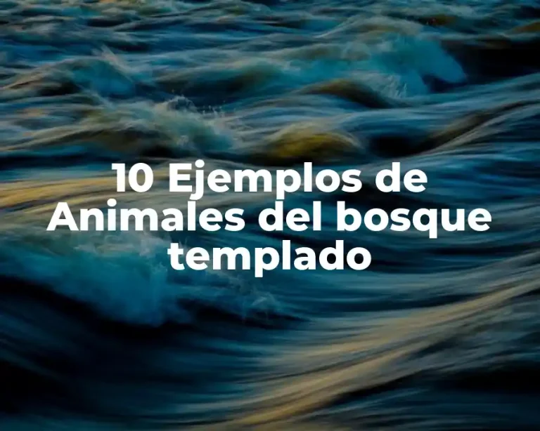 10 Ejemplos de Animales del bosque templado