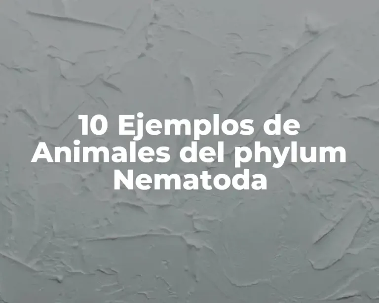10 Ejemplos de Animales del phylum Nematoda