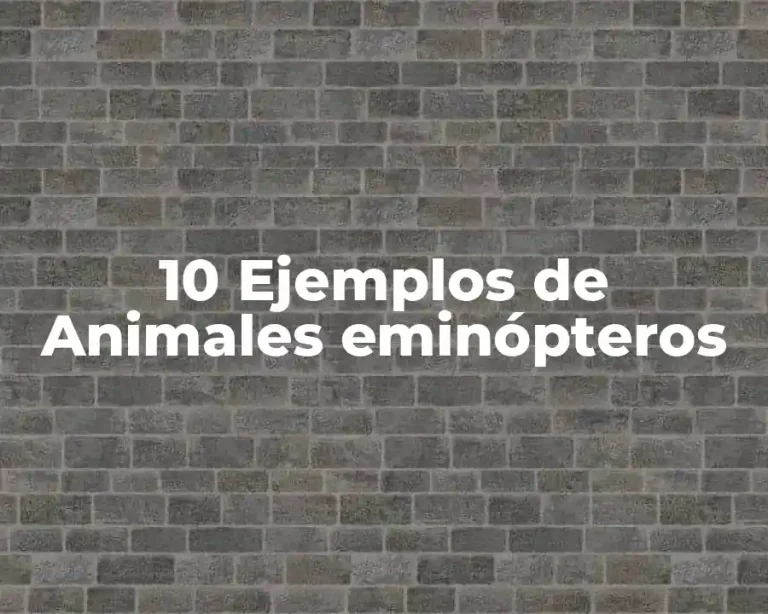 10 Ejemplos de Animales eminópteros