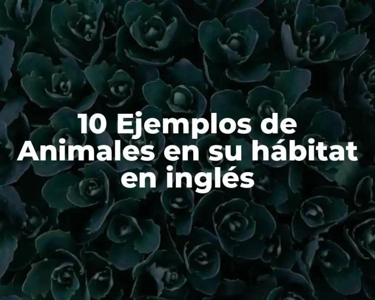 10 Ejemplos de Animales en su hábitat en inglés