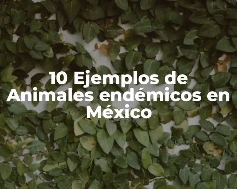 10 Ejemplos de Animales endémicos en México