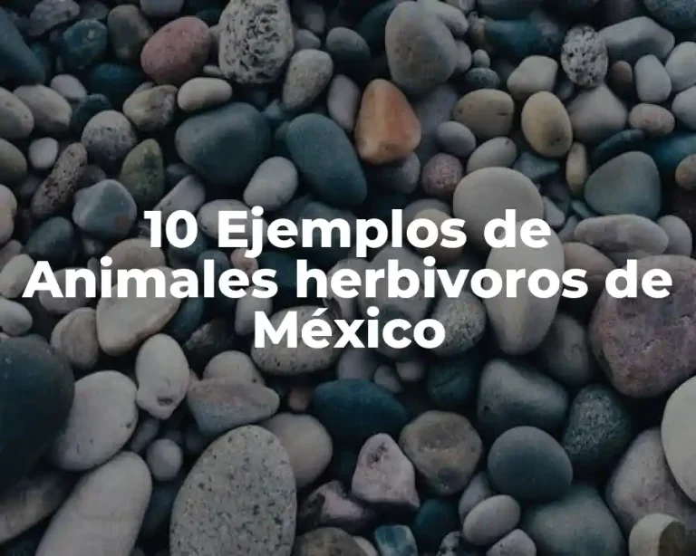 10 Ejemplos de Animales herbivoros de México