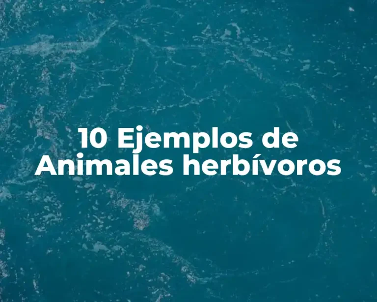 10 Ejemplos de Animales herbívoros