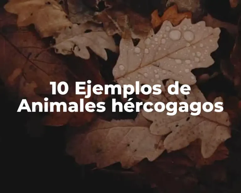 10 Ejemplos de Animales hércogagos