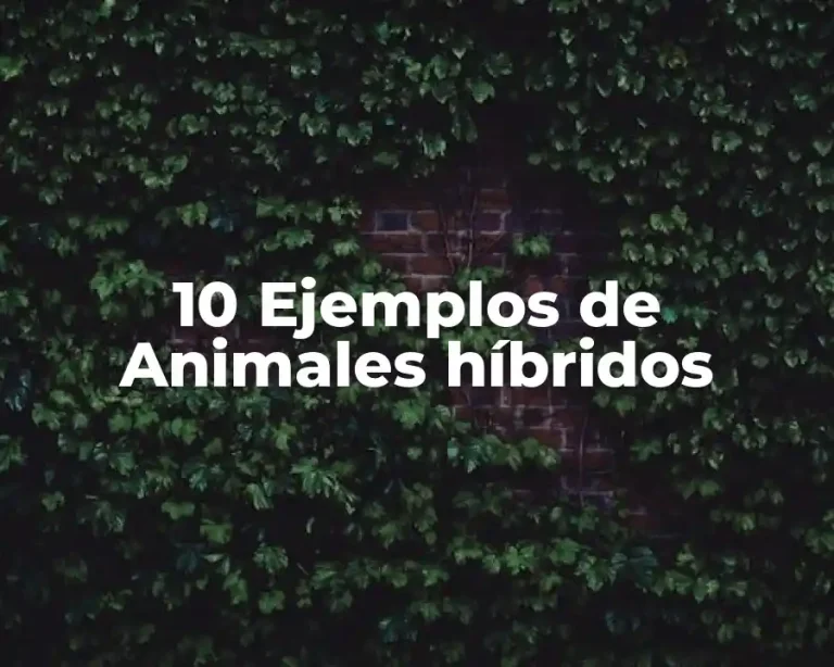 10 Ejemplos de Animales híbridos