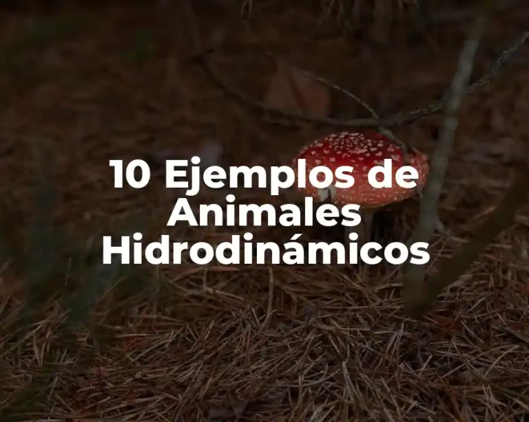 10 Ejemplos de Animales Hidrodinámicos