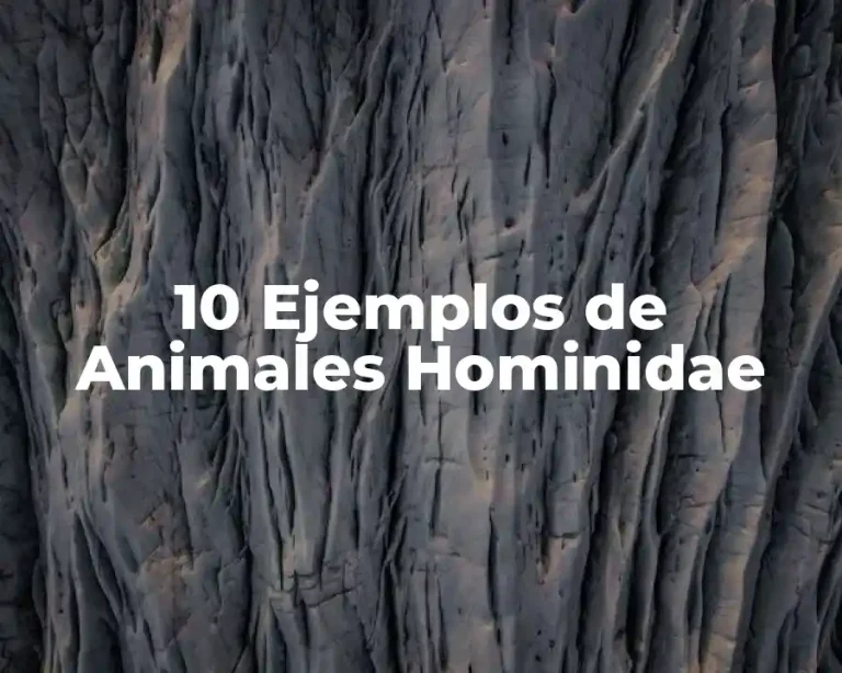 10 Ejemplos de Animales Hominidae