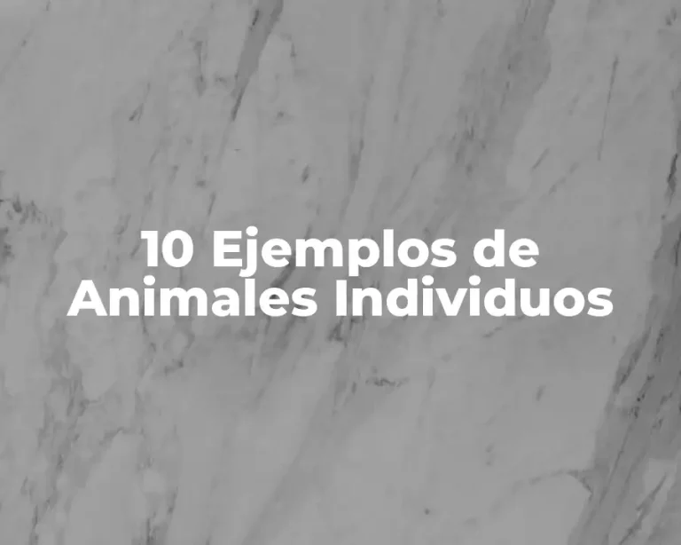 10 Ejemplos de Animales Individuos