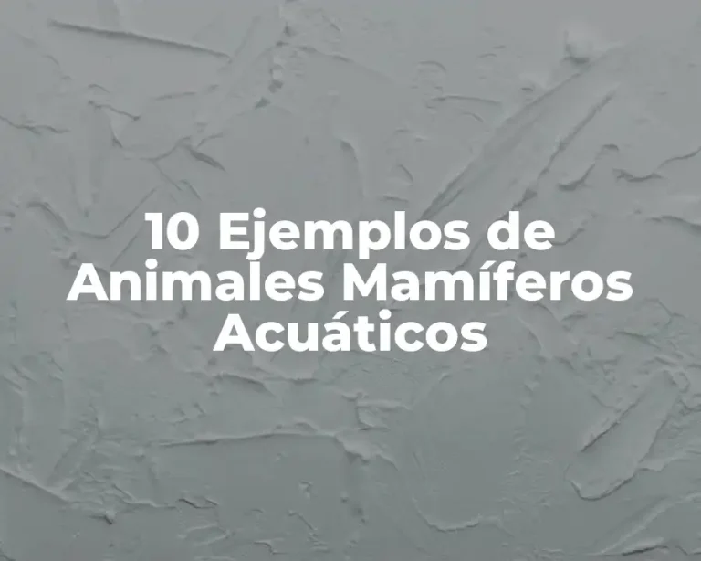 10 Ejemplos de Animales Mamíferos Acuáticos