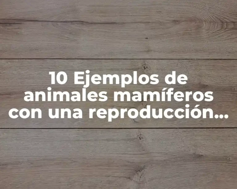10 Ejemplos de animales mamíferos con una reproducción interna