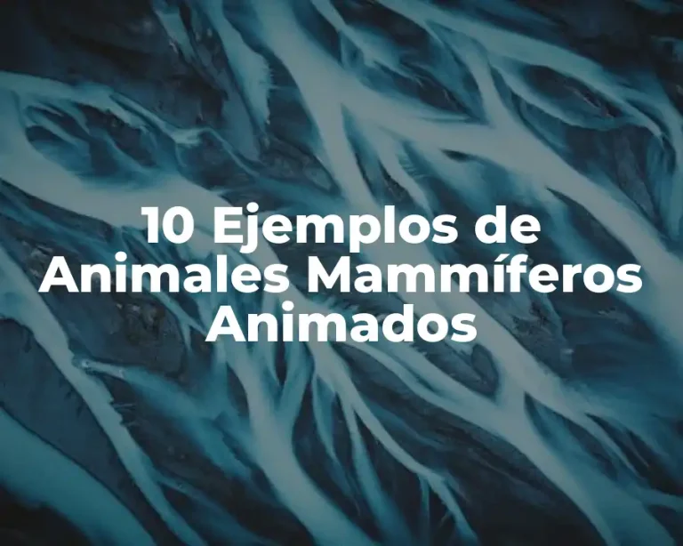 10 Ejemplos de Animales Mammíferos Animados