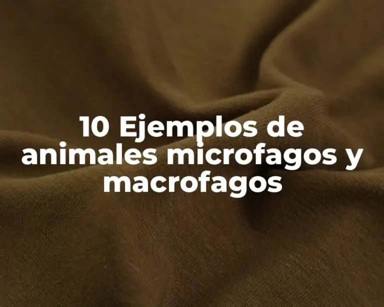 10 Ejemplos de animales microfagos y macrofagos