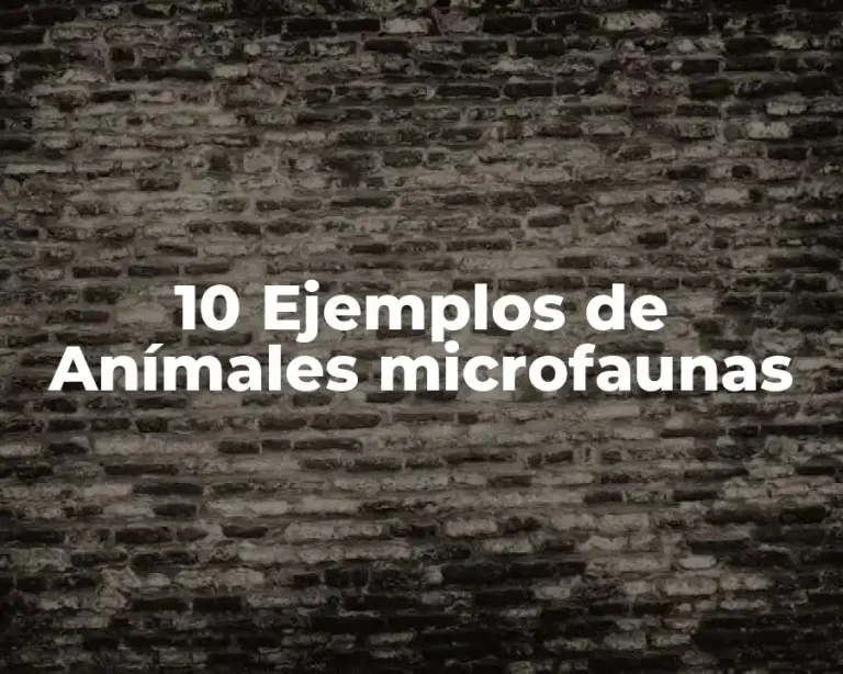 10 Ejemplos de Anímales microfaunas