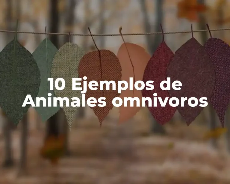 10 Ejemplos de Animales omnivoros