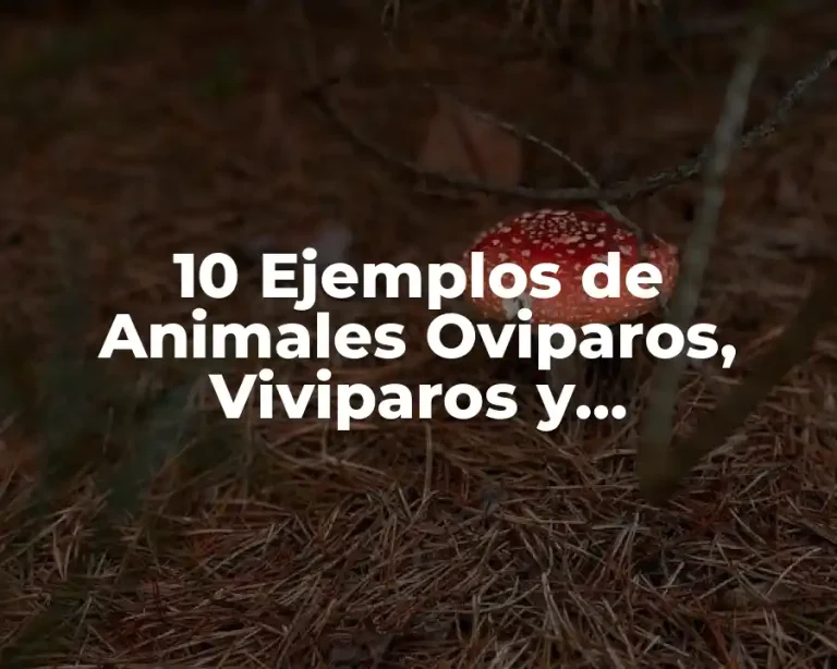 10 Ejemplos de Animales Oviparos, Viviparos y Ovozooviviparos