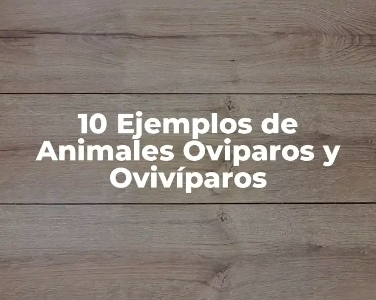10 Ejemplos de Animales Oviparos y Ovivíparos