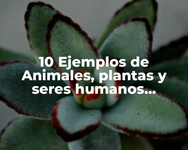 10 Ejemplos de Animales, plantas y seres humanos polifileticos