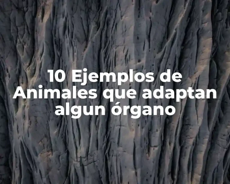 10 Ejemplos de Animales que adaptan algun órgano
