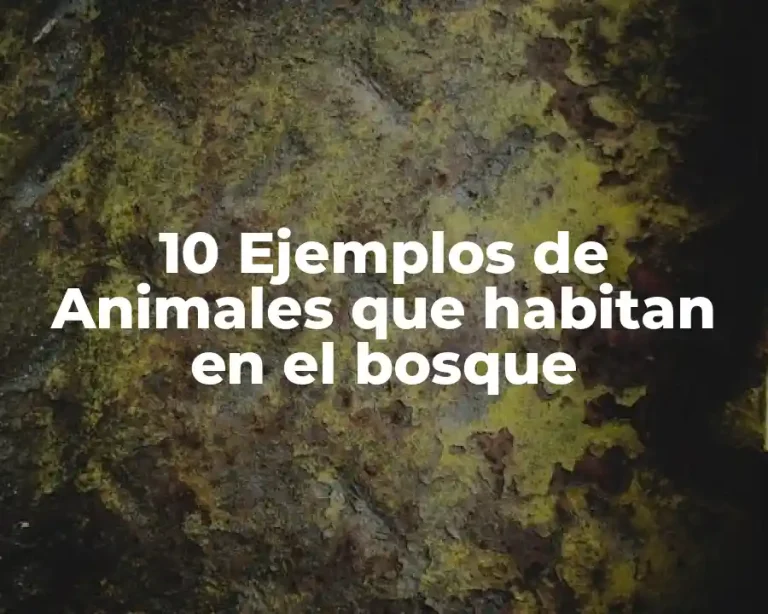 10 Ejemplos de Animales que habitan en el bosque