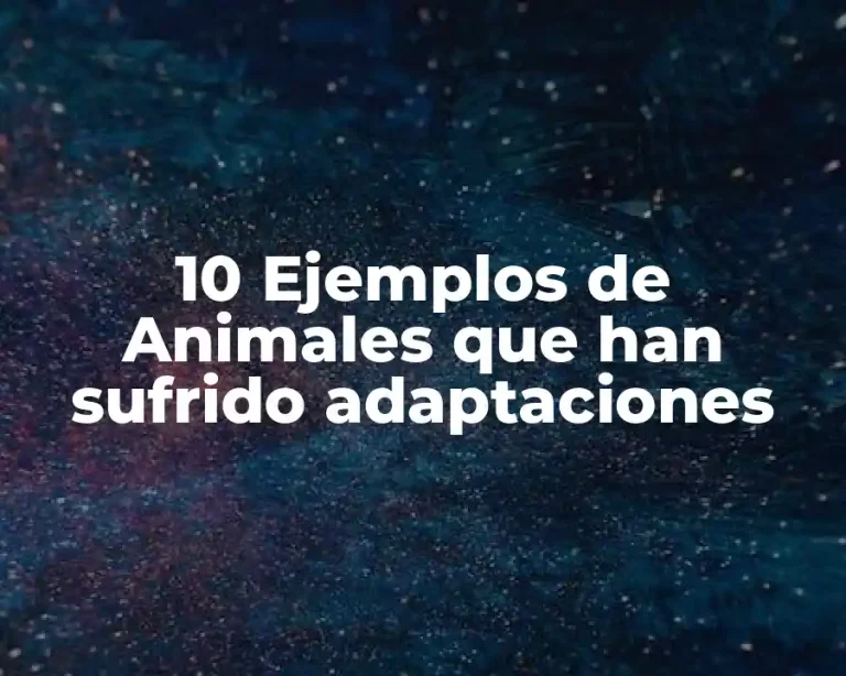 10 Ejemplos de Animales que han sufrido adaptaciones