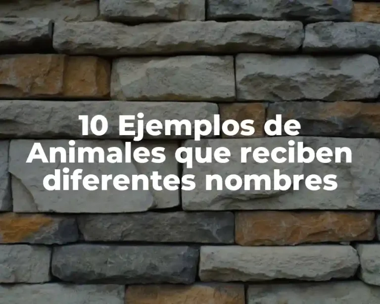 10 Ejemplos de Animales que reciben diferentes nombres