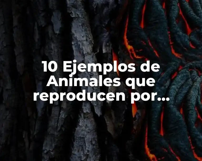 10 Ejemplos de Animales que reproducen por fragmentación