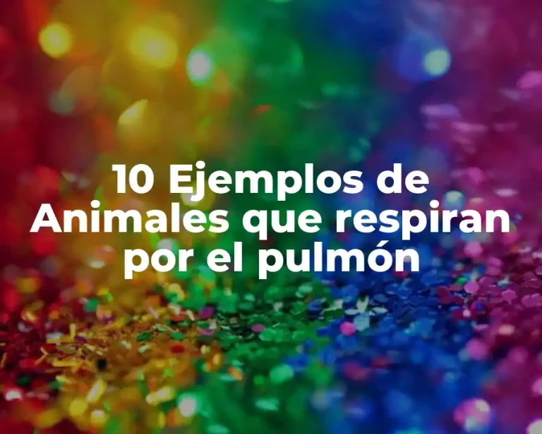 10 Ejemplos de Animales que respiran por el pulmón
