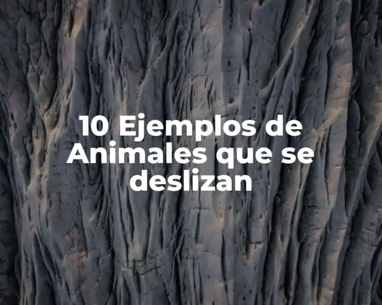 10 Ejemplos de Animales que se deslizan