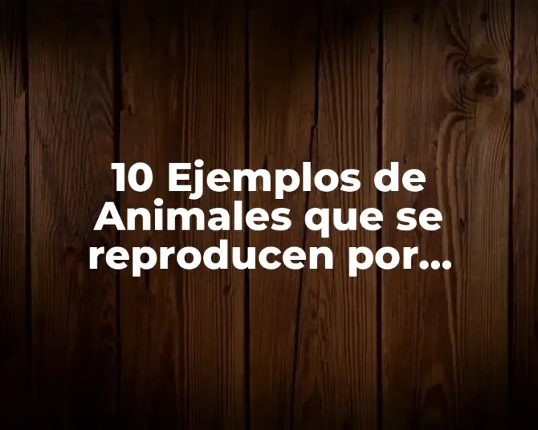 10 Ejemplos de Animales que se reproducen por gemación