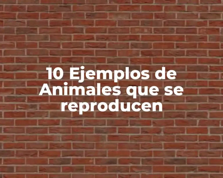 10 Ejemplos de Animales que se reproducen