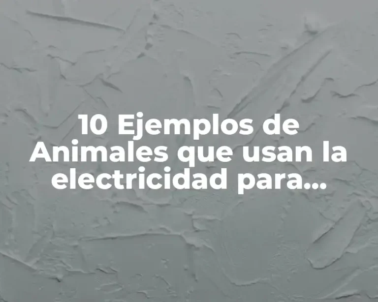 10 Ejemplos de Animales que usan la electricidad para capturar