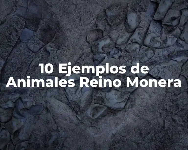 10 Ejemplos de Animales Reino Monera