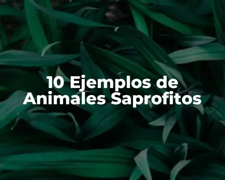 10 Ejemplos de Animales Saprofitos
