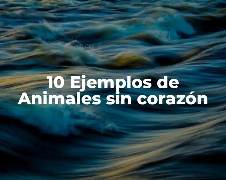 10 Ejemplos de Animales sin corazón