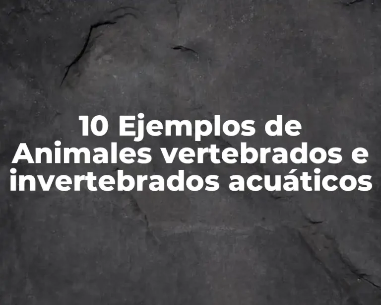 10 Ejemplos de Animales vertebrados e invertebrados acuáticos